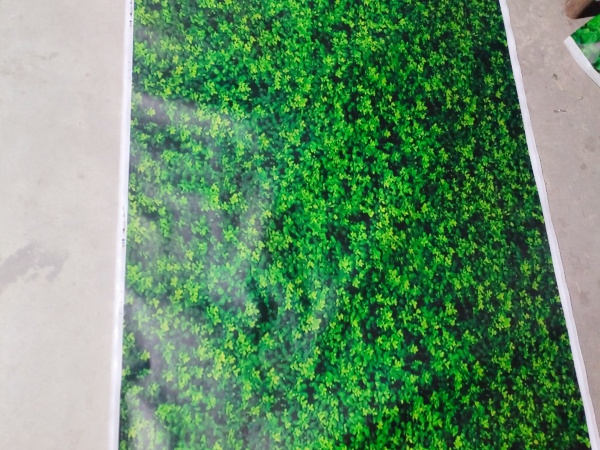 山西园艺防寒布 绿色印花 防霜冻 透气性好 规格多样